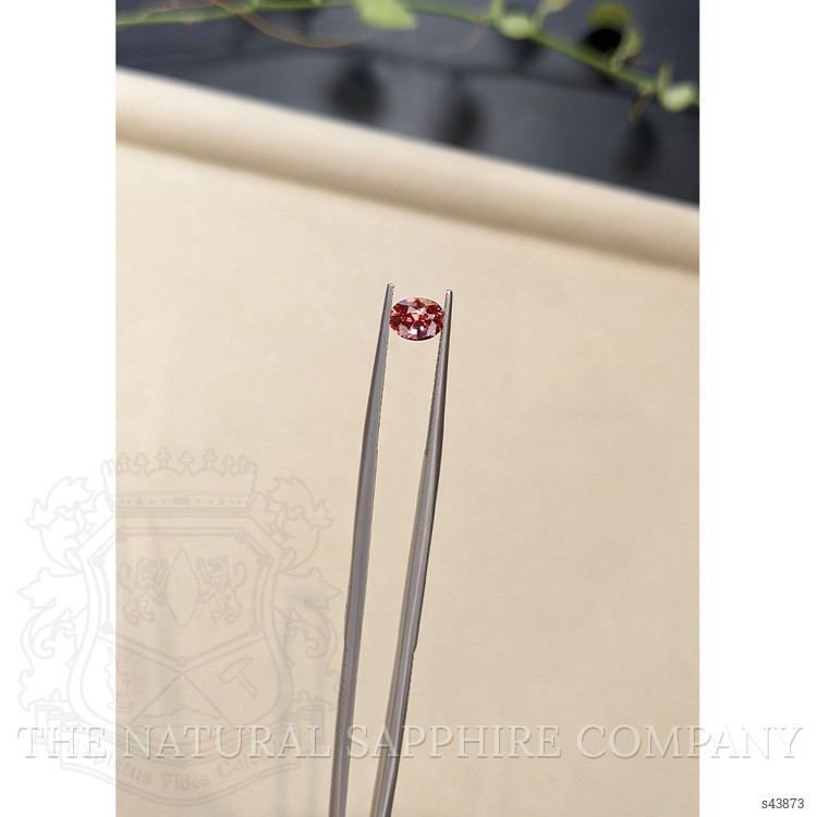 0.98 Ct. Reddish Pink Sapphire from Ceylon (Sri Lanka)