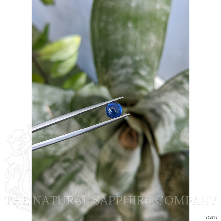 2.38 Ct. Blue Cabochon Sapphire from Ceylon (Sri Lanka)