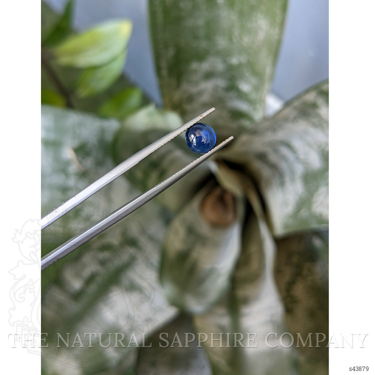 2.12 Ct. Blue Cabochon Sapphire from Ceylon (Sri Lanka)