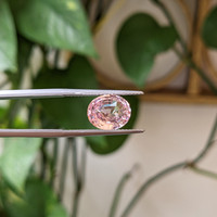 3.13 Ct. Pink Sapphire from Ceylon (Sri Lanka) Life Style