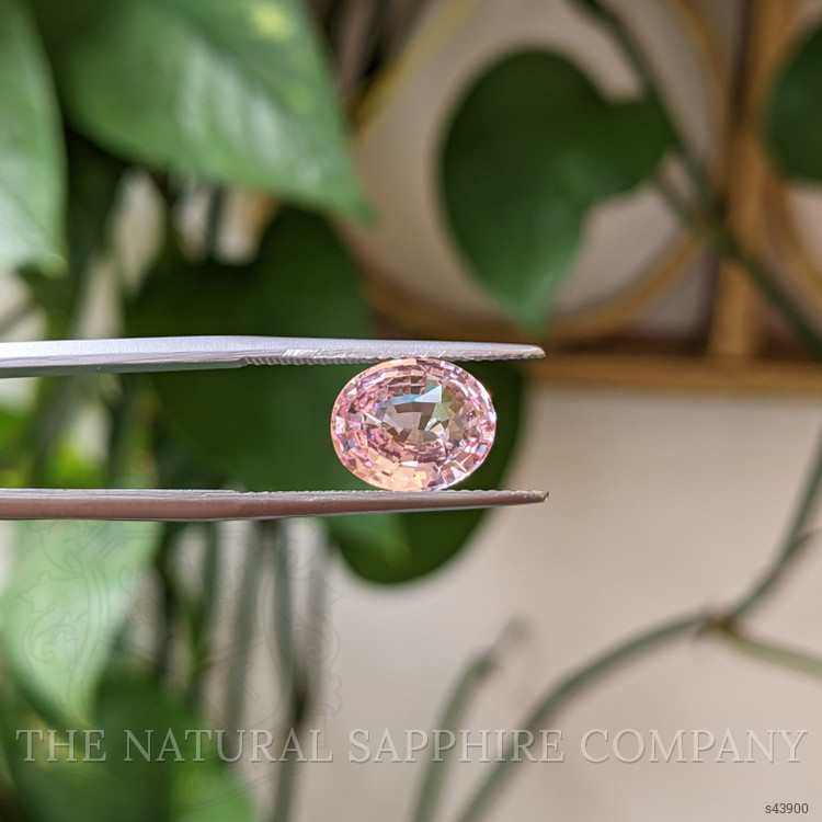 3.13 Ct. Pink Sapphire from Ceylon (Sri Lanka)