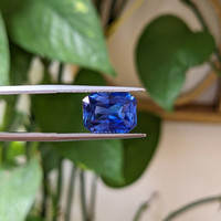 4.97 Ct. Blue Sapphire from Ceylon (Sri Lanka) Life Style