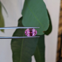 4.03 Ct. Pink Sapphire from Madagascar Life Style