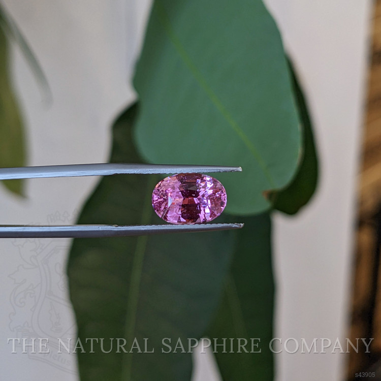 4.03 Ct. Pink Sapphire from Madagascar