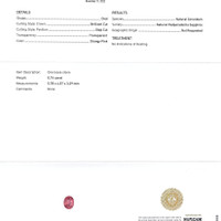 Jewelry Scan Report