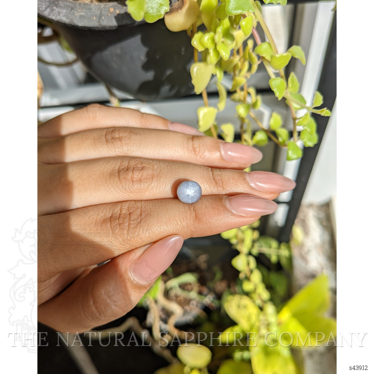 5.17 Ct. Bluish Grey Star Sapphire from Ceylon (Sri Lanka)