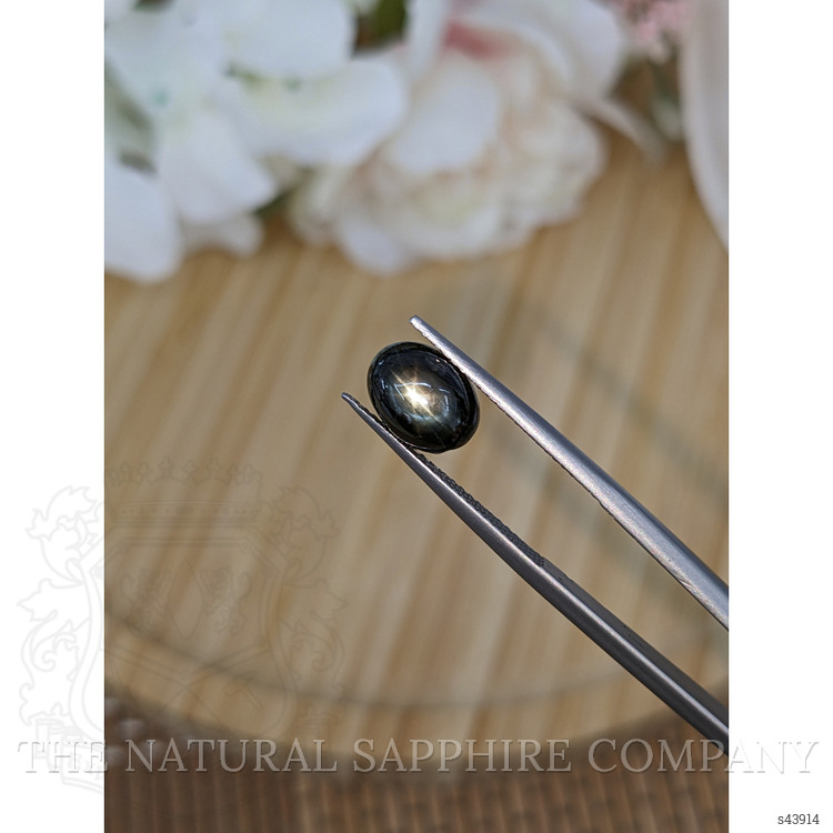 4.95 Ct. Black Star Sapphire from Ceylon (Sri Lanka)