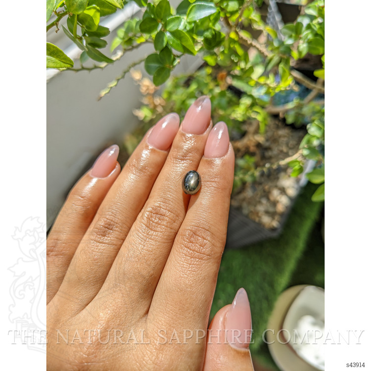 4.95 Ct. Black Star Sapphire from Ceylon (Sri Lanka)