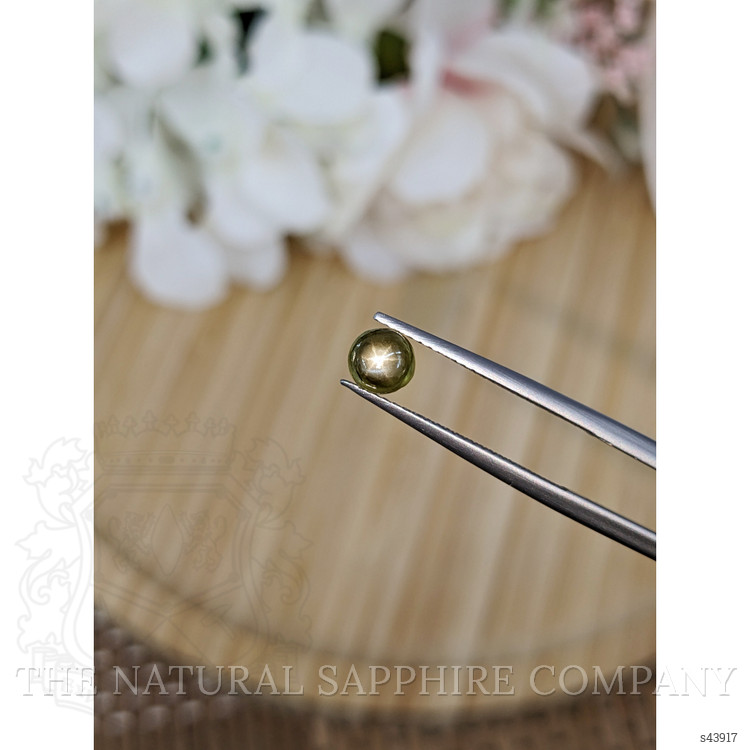 1.12 Ct. Greenish Brown Star Sapphire from Ceylon (Sri Lanka)