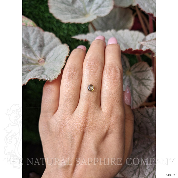 1.12 Ct. Greenish Brown Star Sapphire from Ceylon (Sri Lanka)