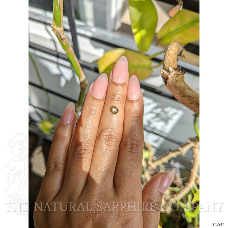 1.12 Ct. Greenish Brown Star Sapphire from Ceylon (Sri Lanka)