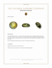 2.11 Ct. Greenish Brown Star Sapphire from Ceylon (Sri Lanka) Appraisal