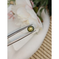 2.11 Ct. Greenish Brown Star Sapphire from Ceylon (Sri Lanka) Life Style