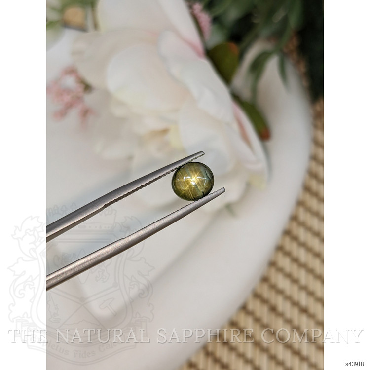 2.11 Ct. Greenish Brown Star Sapphire from Ceylon (Sri Lanka)