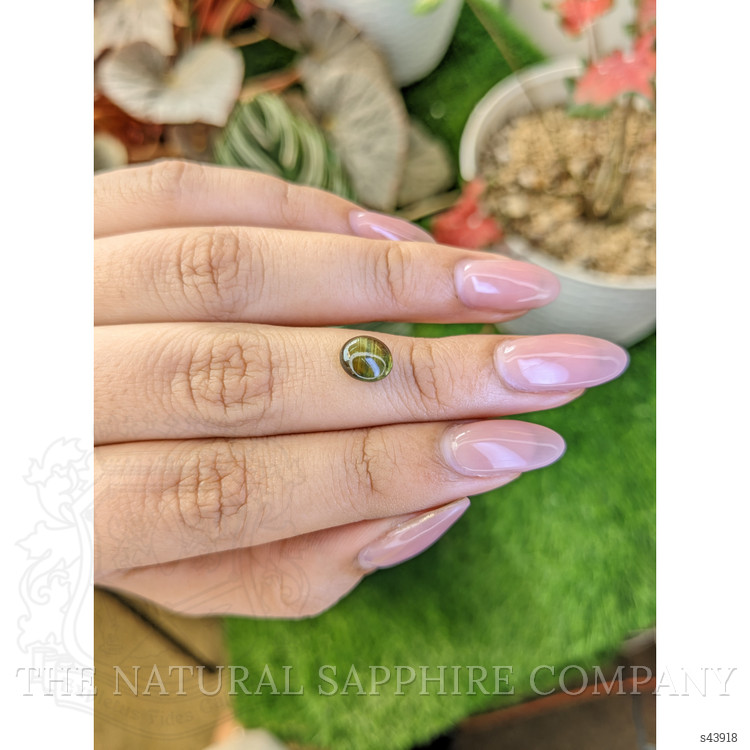 2.11 Ct. Greenish Brown Star Sapphire from Ceylon (Sri Lanka)