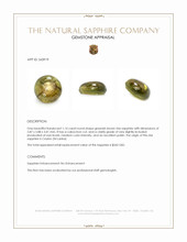 1.14 Ct. Greenish Brown Star Sapphire from Ceylon (Sri Lanka) Appraisal