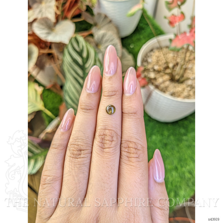1.14 Ct. Greenish Brown Star Sapphire from Ceylon (Sri Lanka)