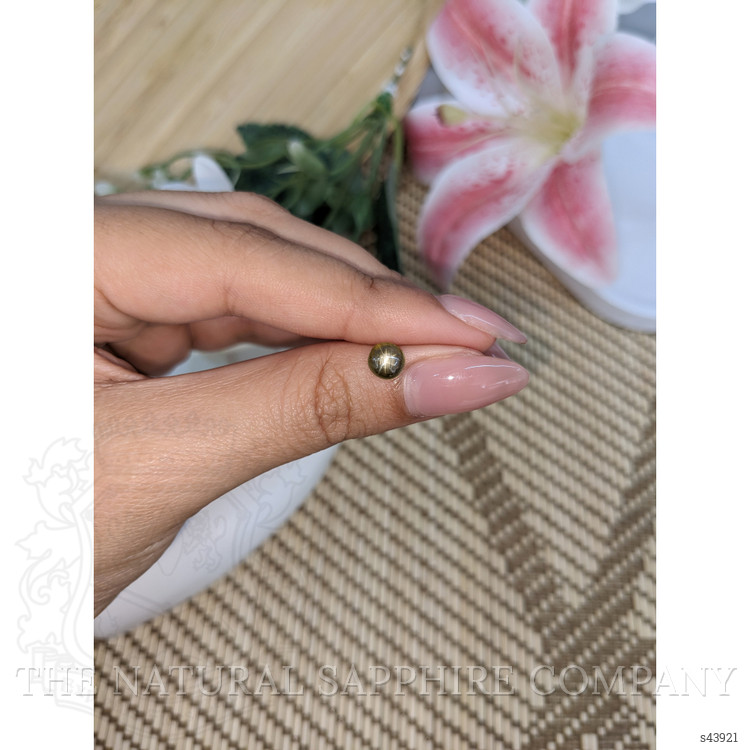 1.33 Ct. Brownish Green Star Sapphire from Ceylon (Sri Lanka)
