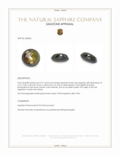 0.79 Ct. Greenish Brown Star Sapphire from Ceylon (Sri Lanka) Appraisal