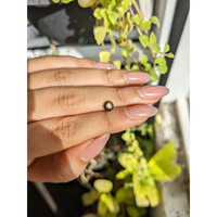 0.79 Ct. Greenish Brown Star Sapphire from Ceylon (Sri Lanka) Life Style