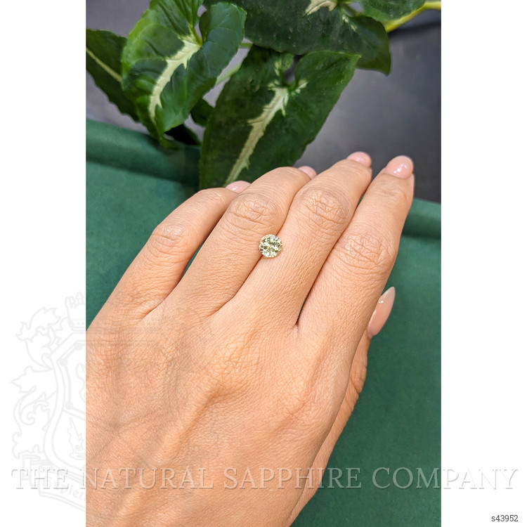 1.14 Ct. Greenish Yellow Sapphire from Montana
