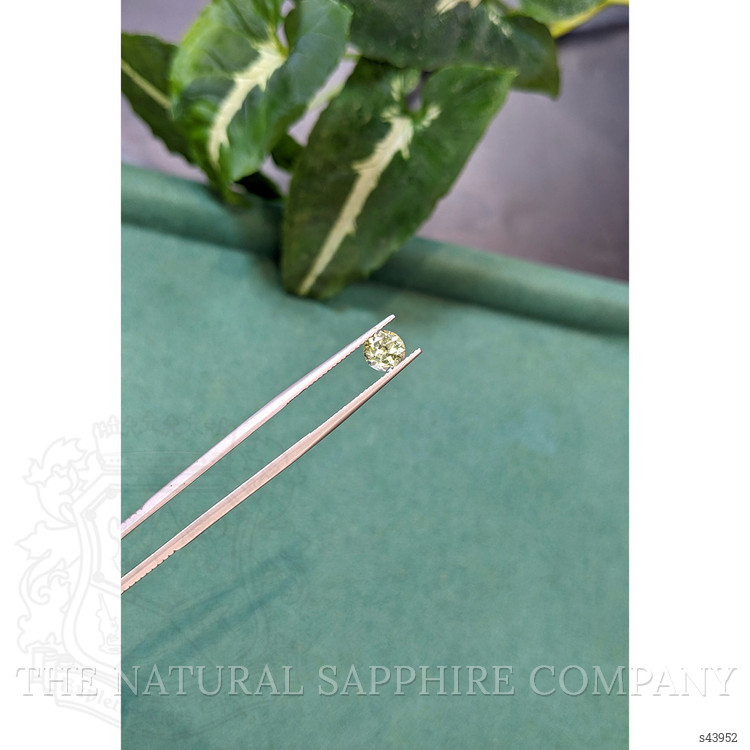 1.14 Ct. Greenish Yellow Sapphire from Montana