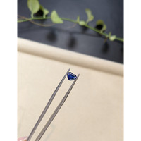 0.73 Ct. Blue Sapphire from Ceylon (Sri Lanka) Life Style