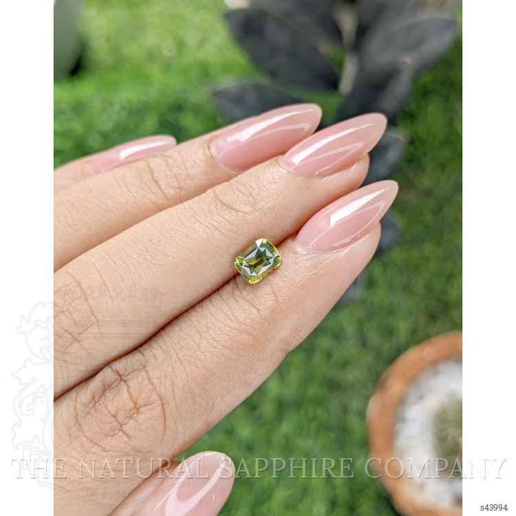 1.10 Ct. Yellowish Green Sapphire from Madagascar
