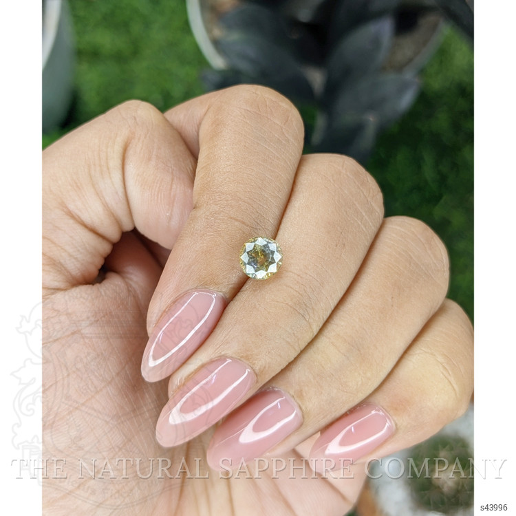 1.59 Ct. Yellow Sapphire from Ceylon (Sri Lanka)