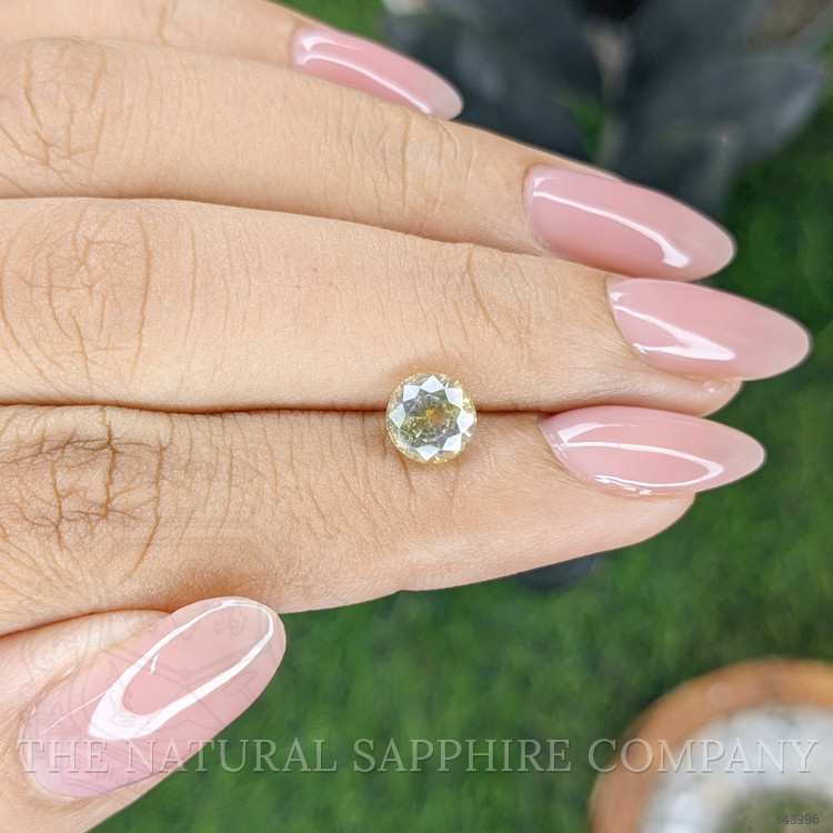 1.59 Ct. Yellow Sapphire from Ceylon (Sri Lanka)