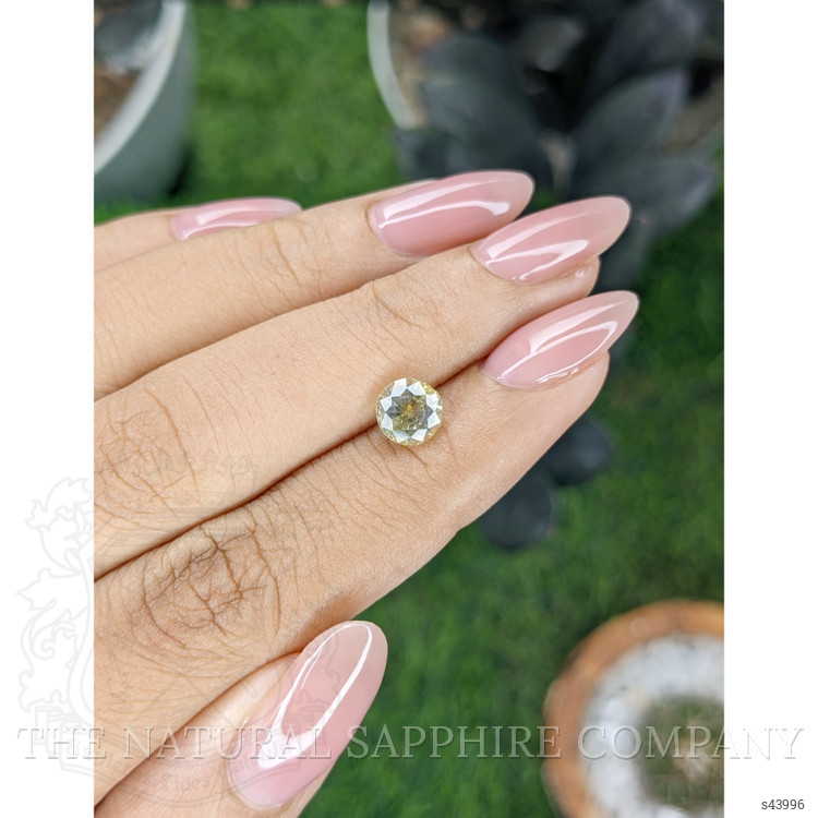 1.59 Ct. Yellow Sapphire from Ceylon (Sri Lanka)