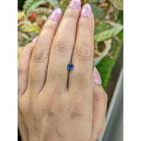 0.69 Ct. Blue Sapphire from Madagascar Life Style