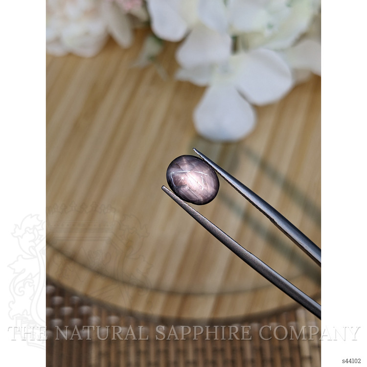 4.32 Ct. Purple Star Sapphire from Ceylon (Sri Lanka)