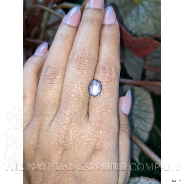 4.32 Ct. Purple Star Sapphire from Ceylon (Sri Lanka)