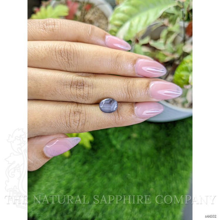 4.32 Ct. Purple Star Sapphire from Ceylon (Sri Lanka)