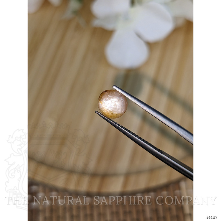 1.40 Ct. Bi Color / Parti Star Sapphire from Ceylon (Sri Lanka)
