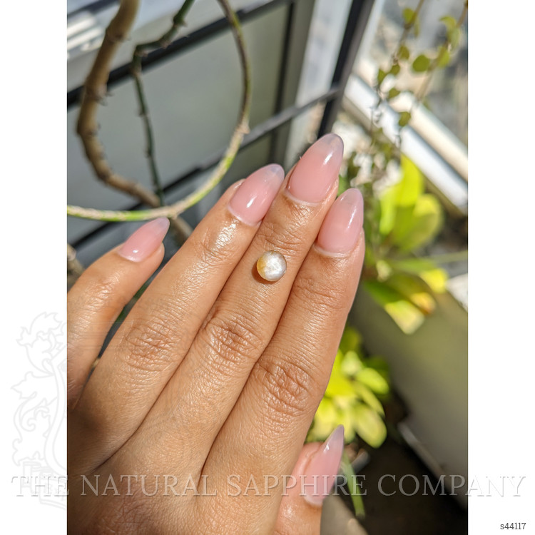 1.40 Ct. Bi Color / Parti Star Sapphire from Ceylon (Sri Lanka)