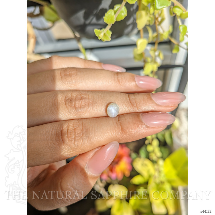 1.52 Ct. Yellow Star Sapphire from Ceylon (Sri Lanka)