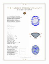 Jewelry 3 D Scan Report