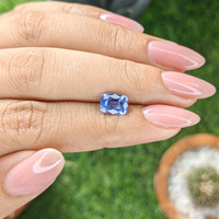 1.78 Ct. Blue Sapphire from Ceylon (Sri Lanka) Life Style