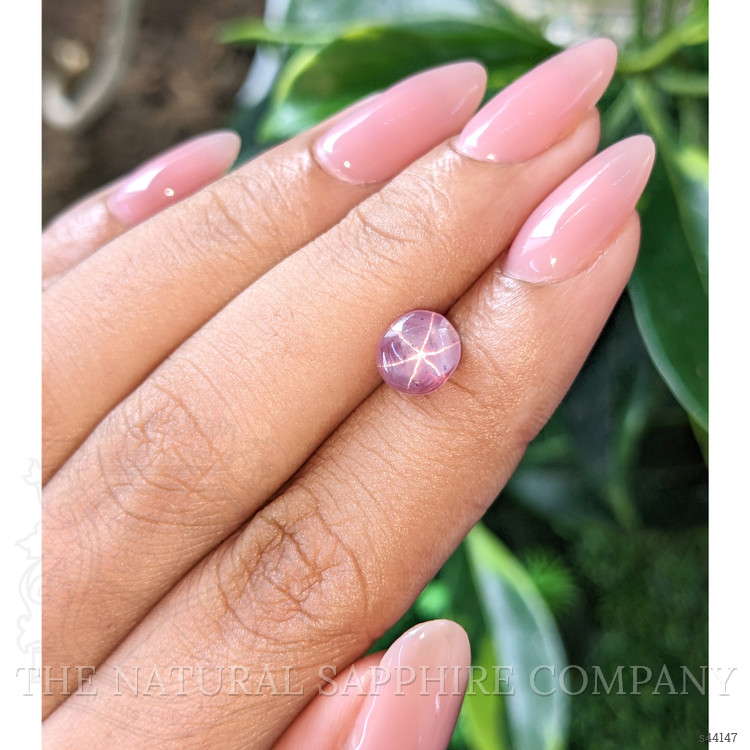 3.24 Ct. Pink Star Sapphire from Ceylon (Sri Lanka)