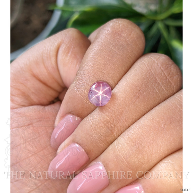 3.24 Ct. Pink Star Sapphire from Ceylon (Sri Lanka)