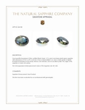 2.73 Ct. Bluish Green Sapphire from Ceylon (Sri Lanka) Appraisal