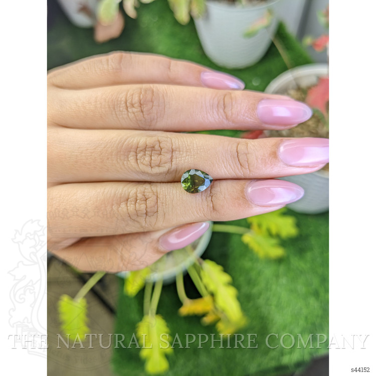 2.52 Ct. Yellowish Green Sapphire from Ceylon (Sri Lanka)