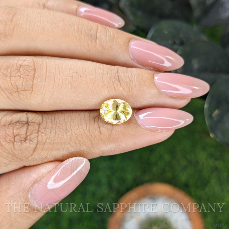 2.50 Ct. Yellow Sapphire from Ceylon (Sri Lanka)