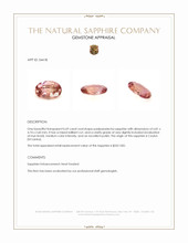 Jewelry Appraisal