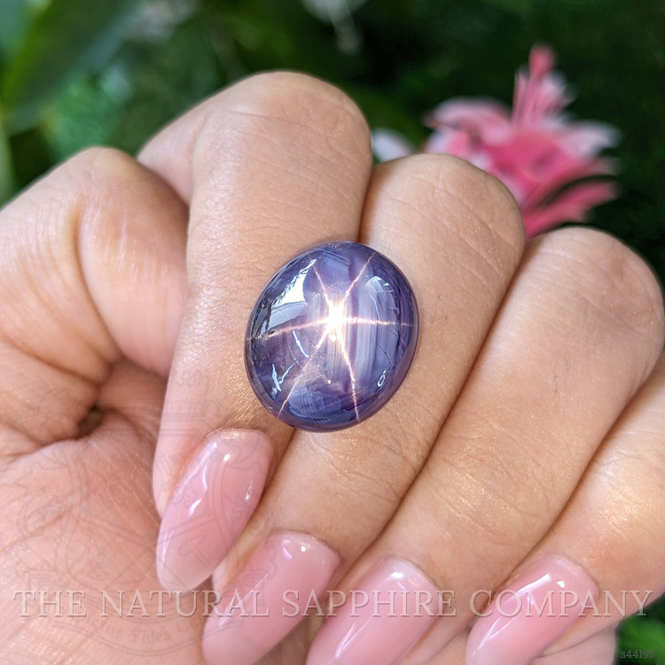 31.17 Ct. Purple Star Sapphire from Ceylon (Sri Lanka)
