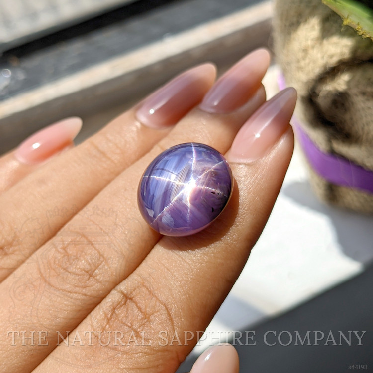 31.17 Ct. Purple Star Sapphire from Ceylon (Sri Lanka)