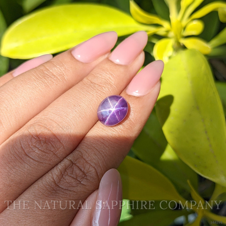 8.88 Ct. Purple Star Sapphire from Ceylon (Sri Lanka)