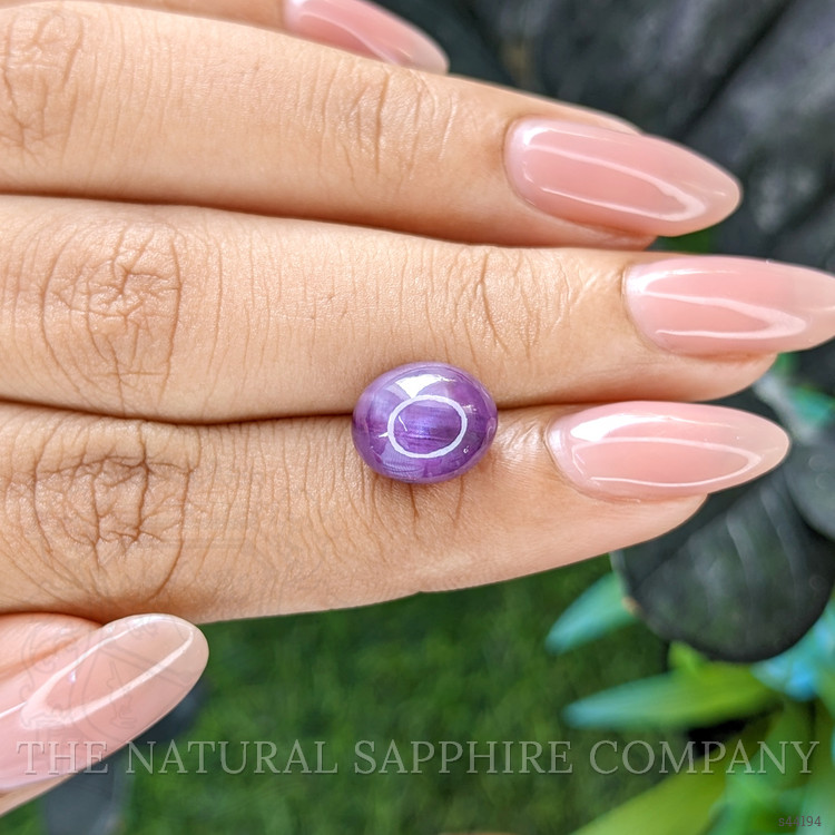 8.88 Ct. Purple Star Sapphire from Ceylon (Sri Lanka)